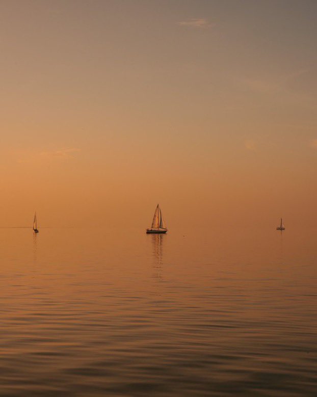 virginiahanusik's tweet image. some photographs i made this year about water and light in louisiana