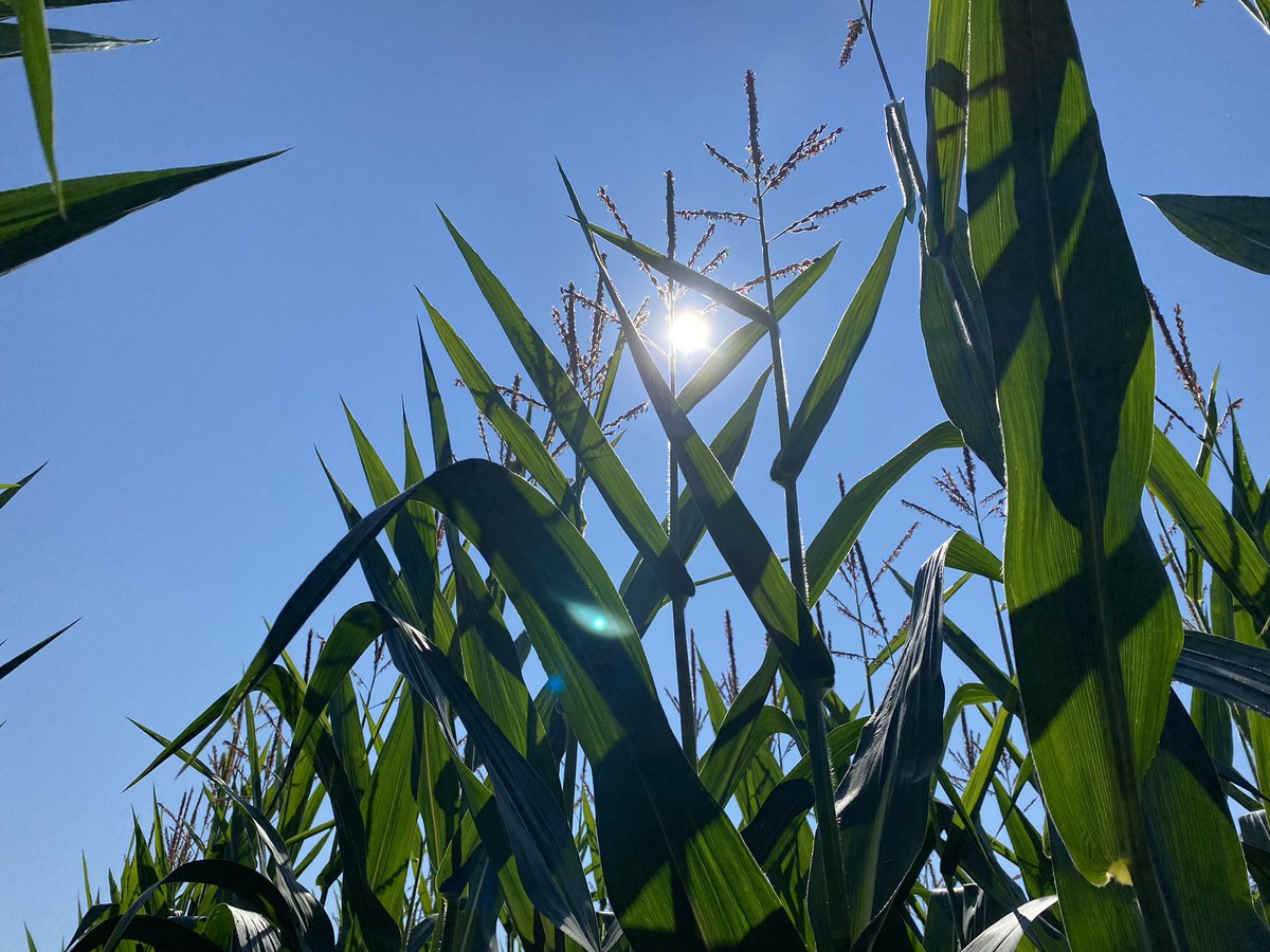 jessie-lyn boadway tweet media