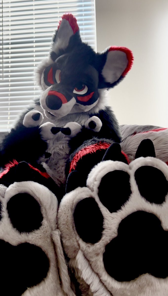 Monti 🔜 FWA tweet media