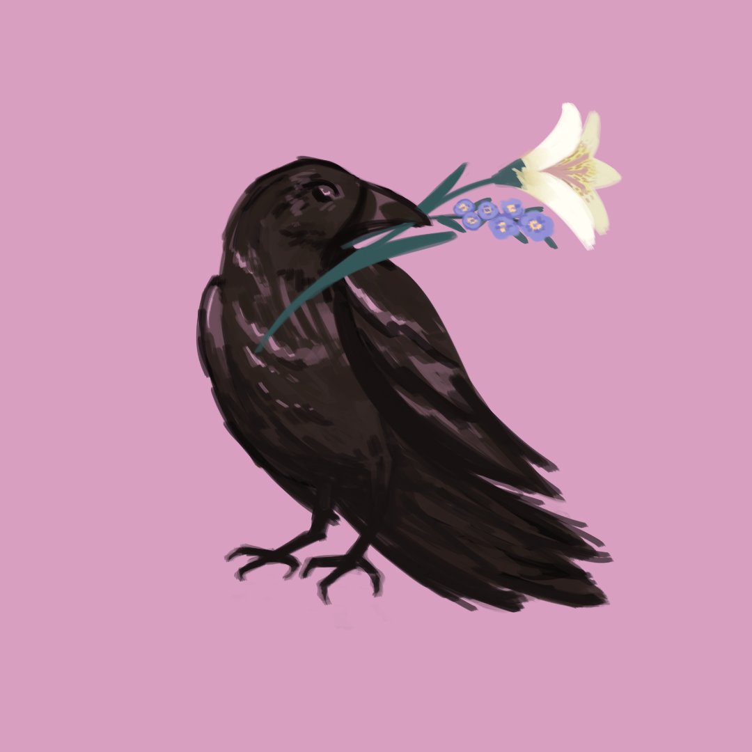 ℕ𝕖𝕟e✨🐦‍⬛ tweet media