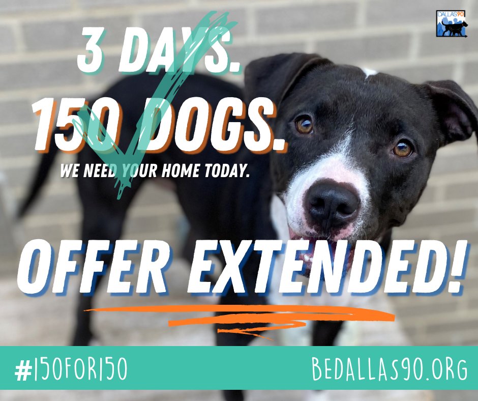 DallasShelter's tweet photo. Offer extended! The #150for150 campaign went so well, we're opening it up to 100 more dogs on the exposed side of our building. We went from 100% exposure to 76% exposure over the weekend - let's get it down to zero! Foster a dog for 14 days, receive $150! https://t.co/eUTDanjYjP