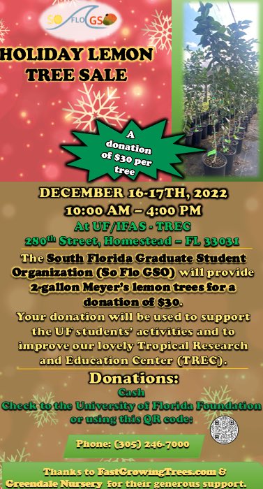 FloridaMGs's tweet photo. Holiday Meyer Lemon Tree Sale to benefit the South FL grad student club! This weekend at the @UFTropical in Homestead, 280th Street. 🍋🎄 https://t.co/NpOfN5eypx