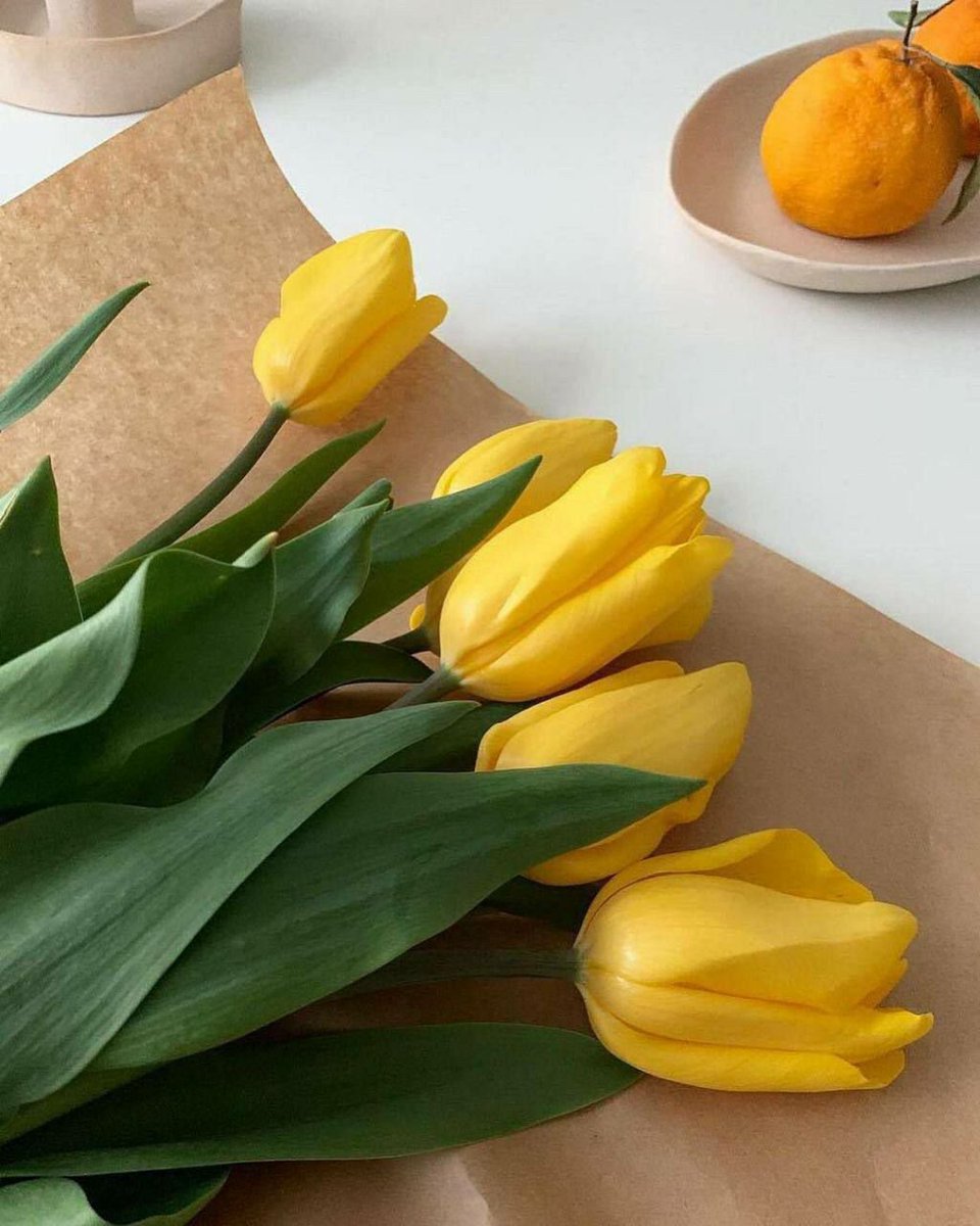 أخطائنا جزء  من إنسانيتنا.....
وإلتزام البعض ب مظهر المثاليه
ليس إلا تمثيل متقن....
ف الكمال لله وحده....
وليس من طبيعة البشر......