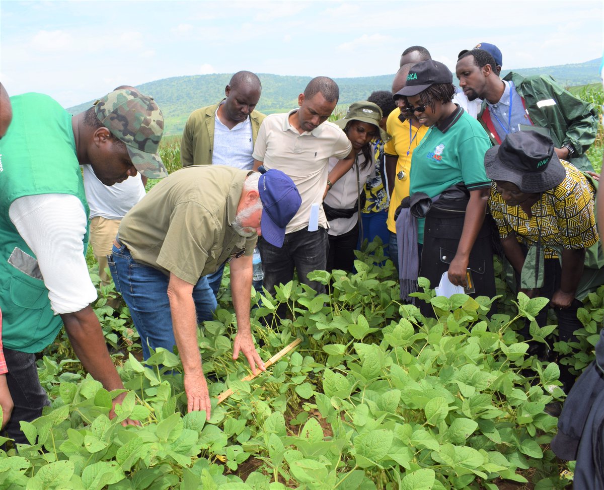 Rwanda Inspectorate, Competition & C.P Authority on Twitter