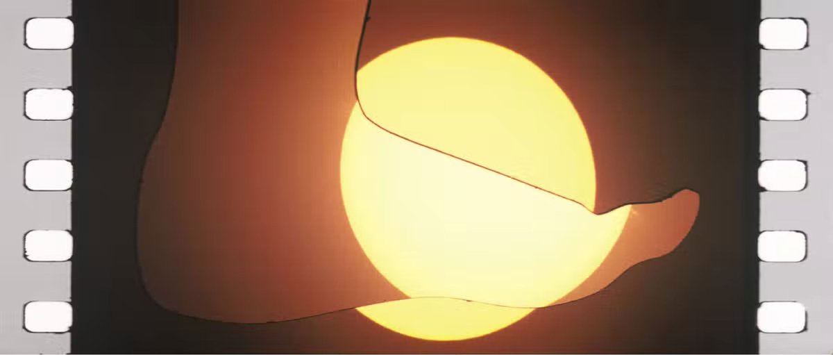 Scaffold_Podcast tweet media