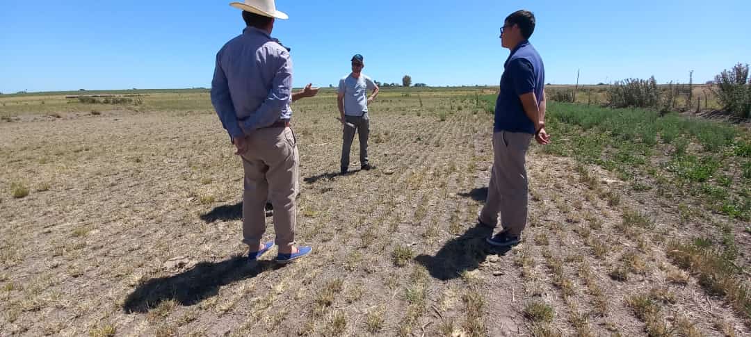 Gentos Argentina tweet media