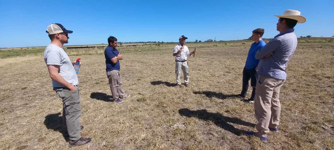 Gentos Argentina tweet media