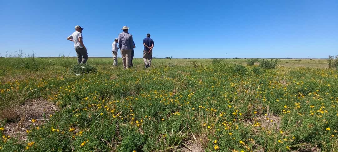 Gentos Argentina tweet media