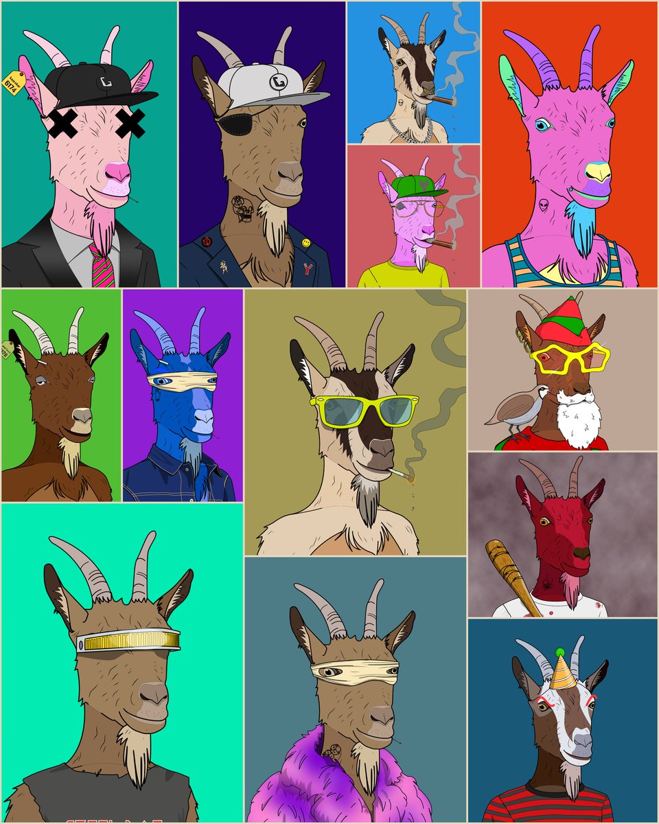 gbrum824's tweet photo. I just need the a zebra costume to complete my every breed collection!!!!  #Lfgoat #goattribe $grass #bulletproofrobinhoodhat @adaGOATS #bleet #bleat #GangGang https://t.co/eFWlIC06Oz