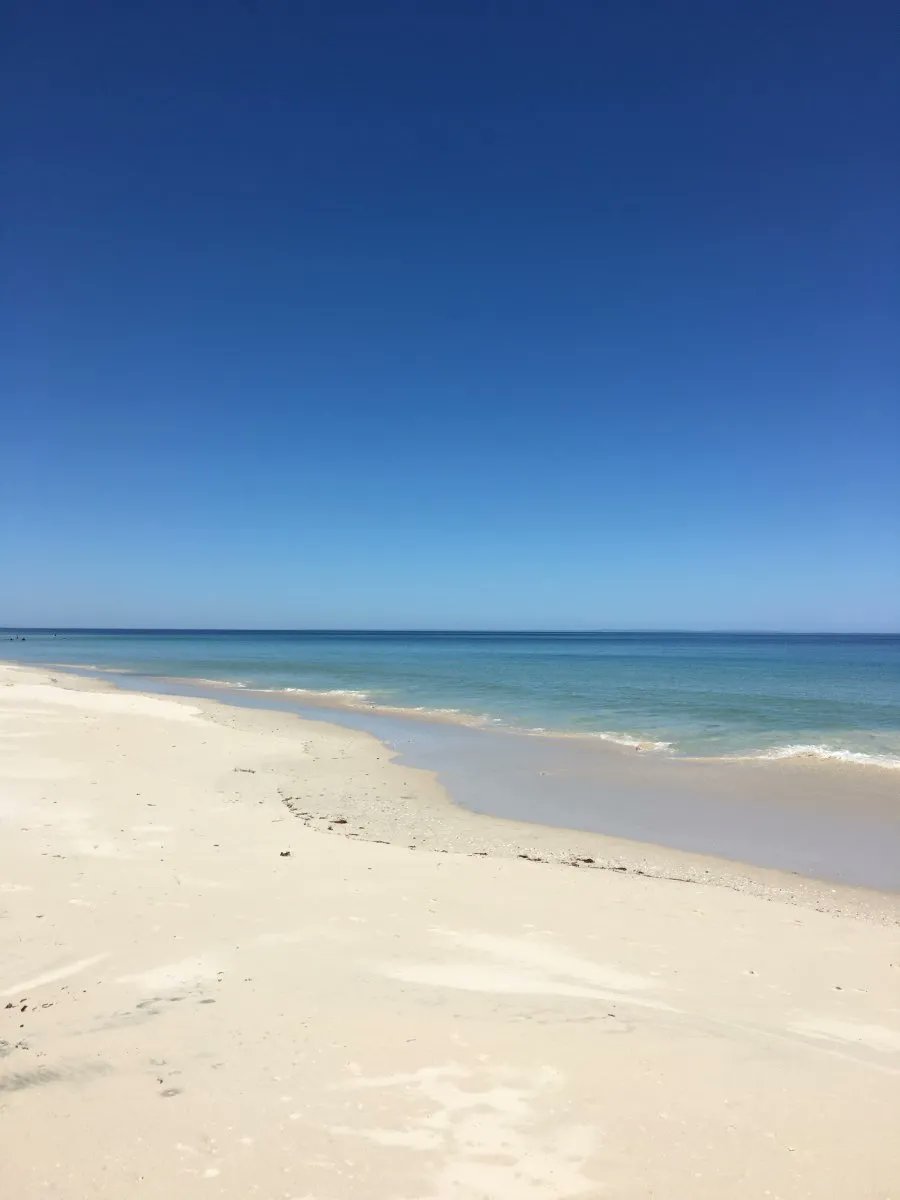 VisaGoAustralia's tweet photo. Vehicle painter and panel beater jobs in Australia - Employer Sponsorship available! https://t.co/bNWmd4K1BK
#australia #employersponsorship #tssvisa #visa482 #emigrate #workabroad #vehiclepainter #panelbeater #miigrationagent #jobsinaustralia #bunbury #wa https://t.co/E8gCXq1qZk