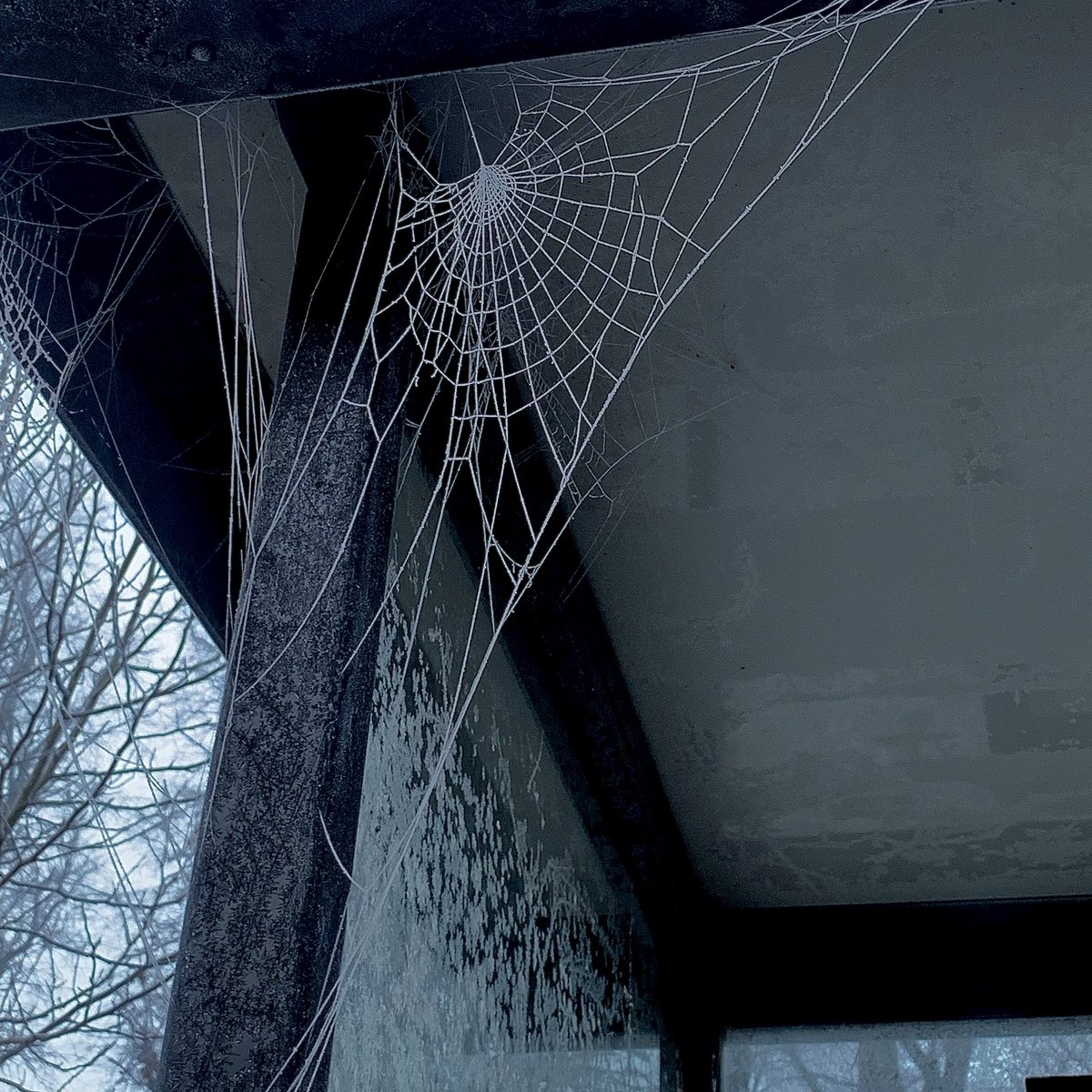 KaneyChloe's tweet photo. Beautiful things are all around. All you have to do is take the time to look for them. 🕸️ https://t.co/JmnuOWwtRK