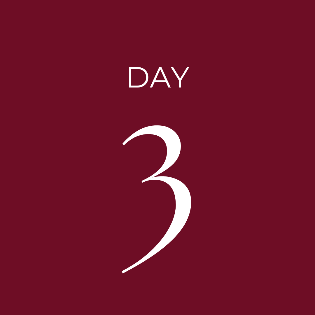 CathayHomeInc's tweet photo. Day 3 of our giveaway is starting soon! Click the link to enter and win an Oversized Plush Throw: https://t.co/1cmnhAxMFj https://t.co/EoeQX48m3v