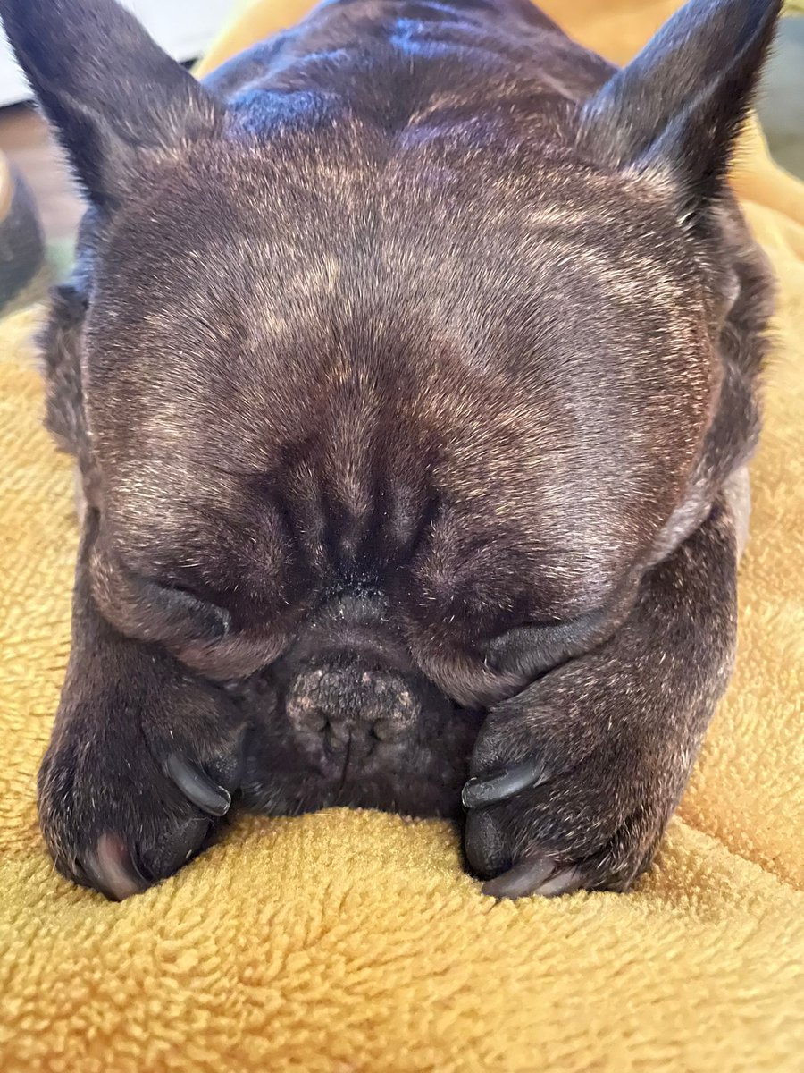 Alastair White tweet media