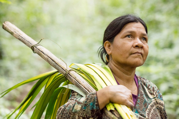 eo_services's tweet photo. retweet @ ERC_Research: To enable Indigenous Peoples to record and show how #climatechange affects their #environment, Victoria Reyes-García &amp; her team worked to create a #CitizenScience platform.

How did it pan out? 👉 https://t.co/jUU7V3qWi9
 
@UABBar… https://t.co/6wF2EIO3Ww