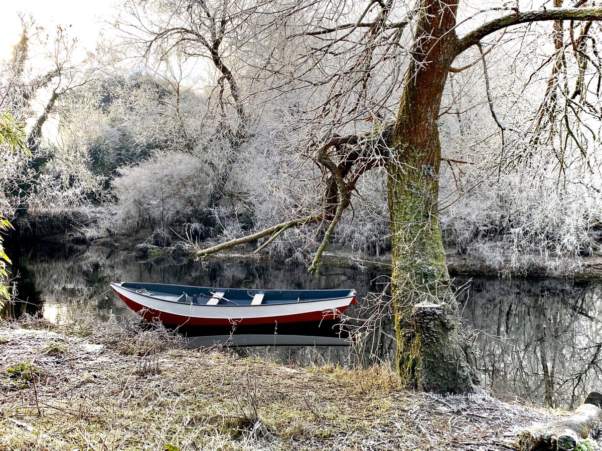 ListonAnn's tweet photo. The Mill Stream, Mill Road, Corbally, looking mysteriously beautiful in the freezing frost and fog. https://t.co/irlxBeeosl