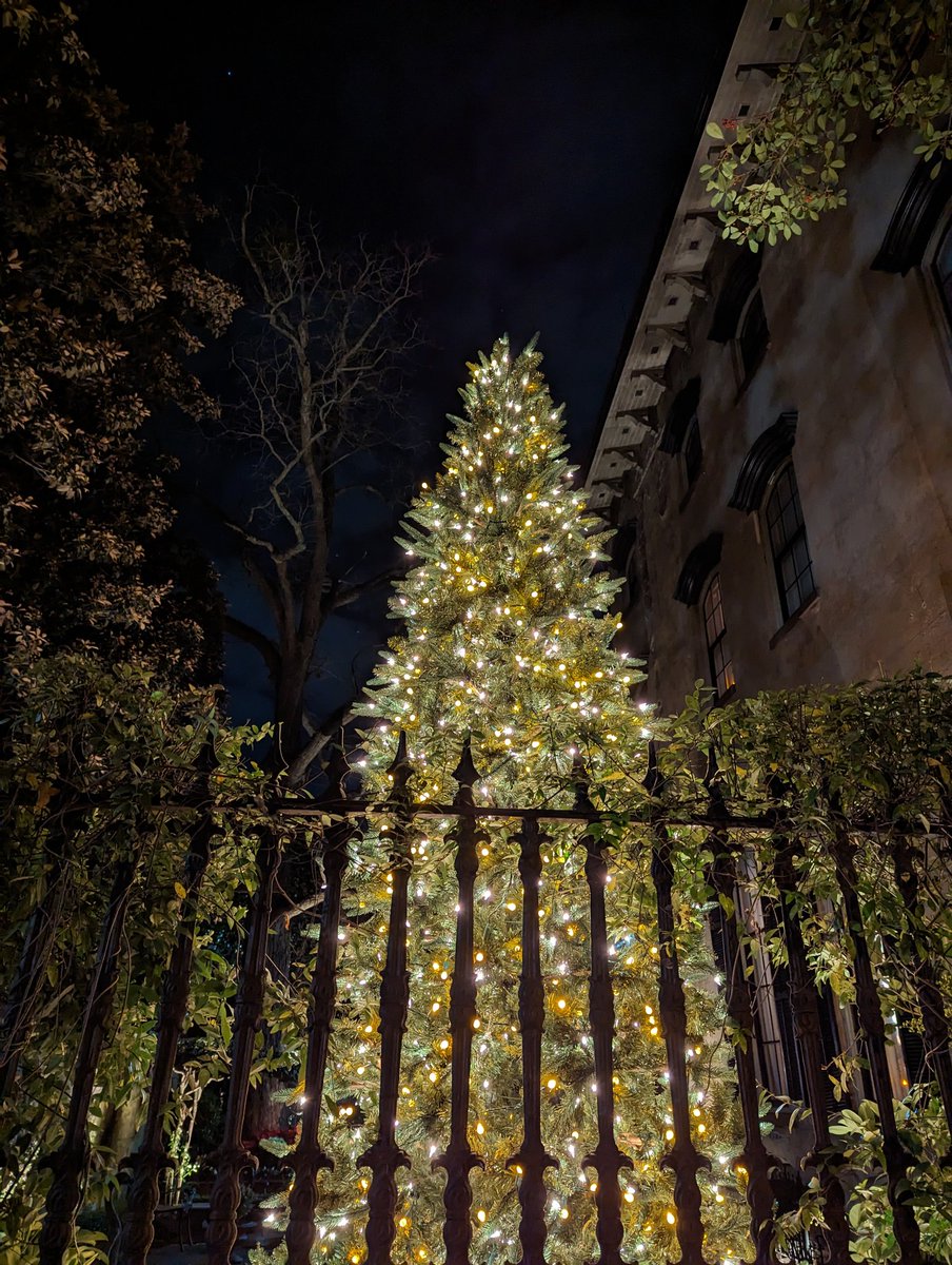 taylor_'s tweet photo. 🎄 #9 #10 #11
so my made up rules around #100trees is that the tree has to be at least a foot tall and have lights on it.
Do you prefer colorful lights or all white? https://t.co/EFLegMyMgF