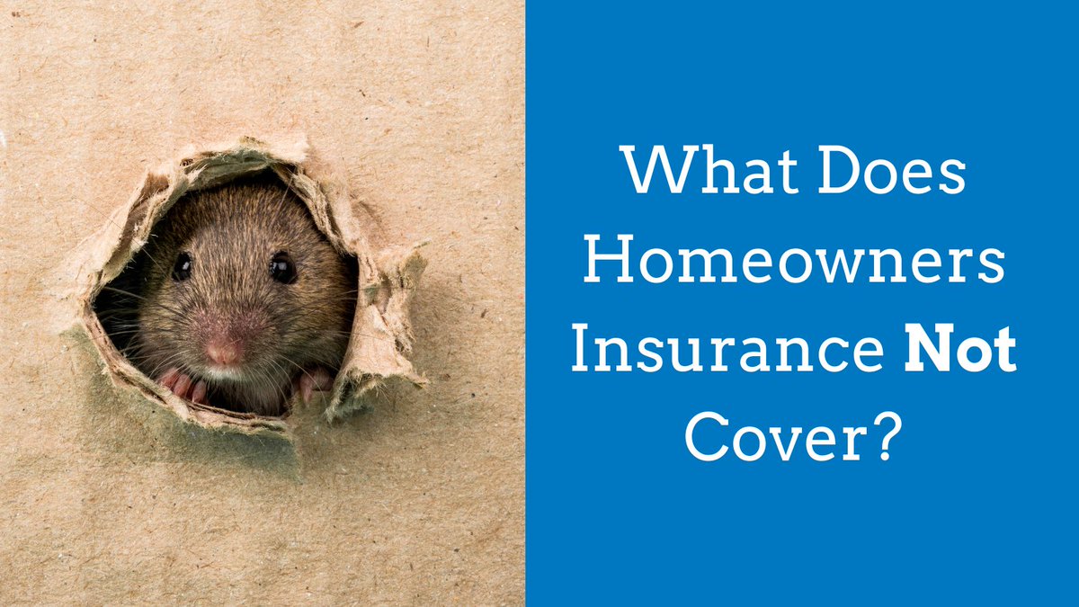 What does homeowners insurance NOT include? 🤔 Familiarize yourself with this list of common exclusions and what you may need endorsements for ➡️ bit.ly/3Um8yAr ⬅️ #AskNJM