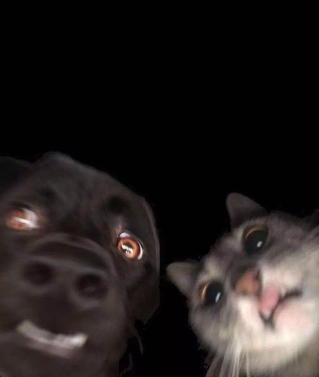Spartoo's tweet photo. Quand avec ta bestie vous envoyez le message au mauvais destinataire 😂
#mood #panick #worstsituation #besties https://t.co/sqngtZz5WZ
