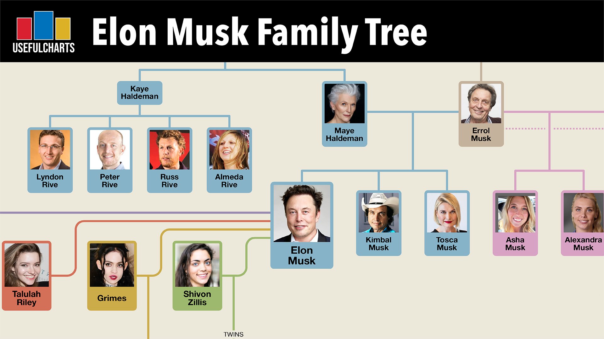 Usefulcharts on twitter today s video is about the family tree of