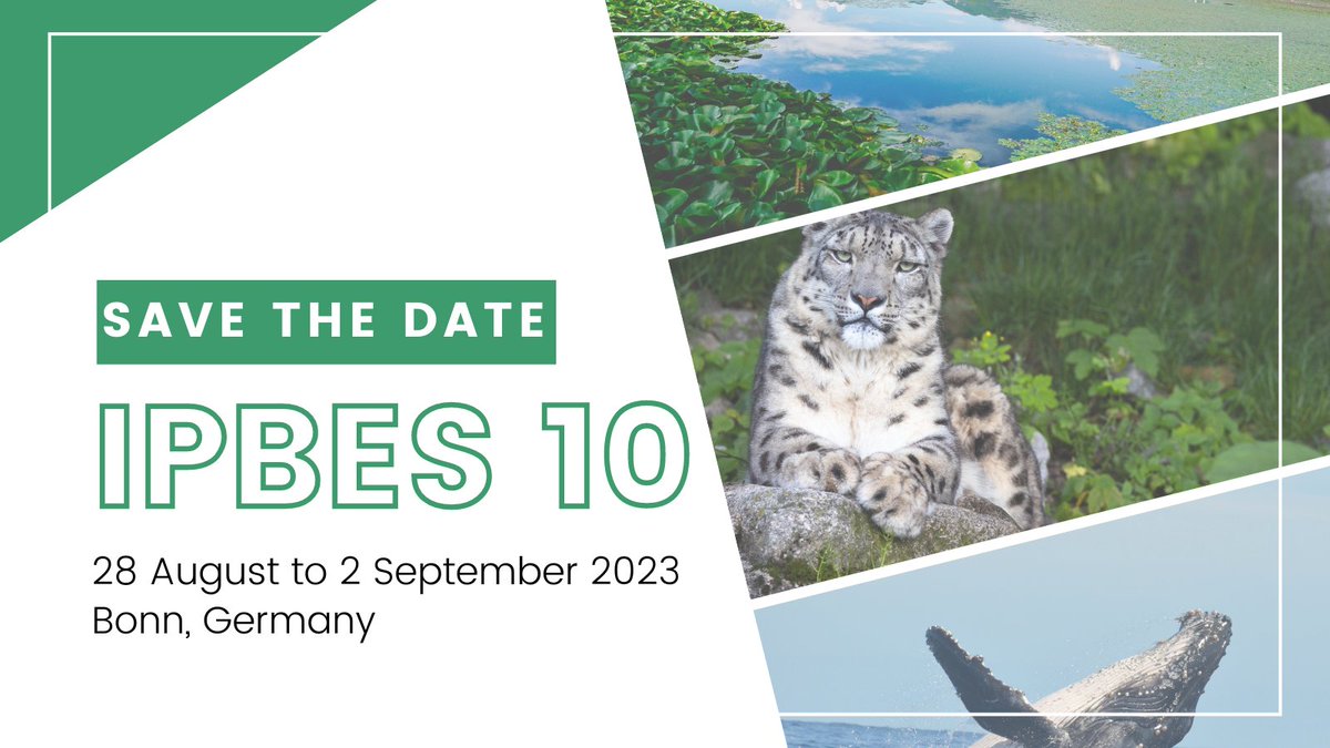 📢 Save the Date for #IPBES10!
From 🗓️ 28 August to 2 September 2023, the @IPBES Plenary will meet in Bonn, #Germany.
On the agenda, the thematic assessment of #InvasiveSpecies. 🌿
To learn more, visit: ow.ly/XVBF50LKkw5

@YESS_Network @TEEB4ME @ESPartnership @UNEP