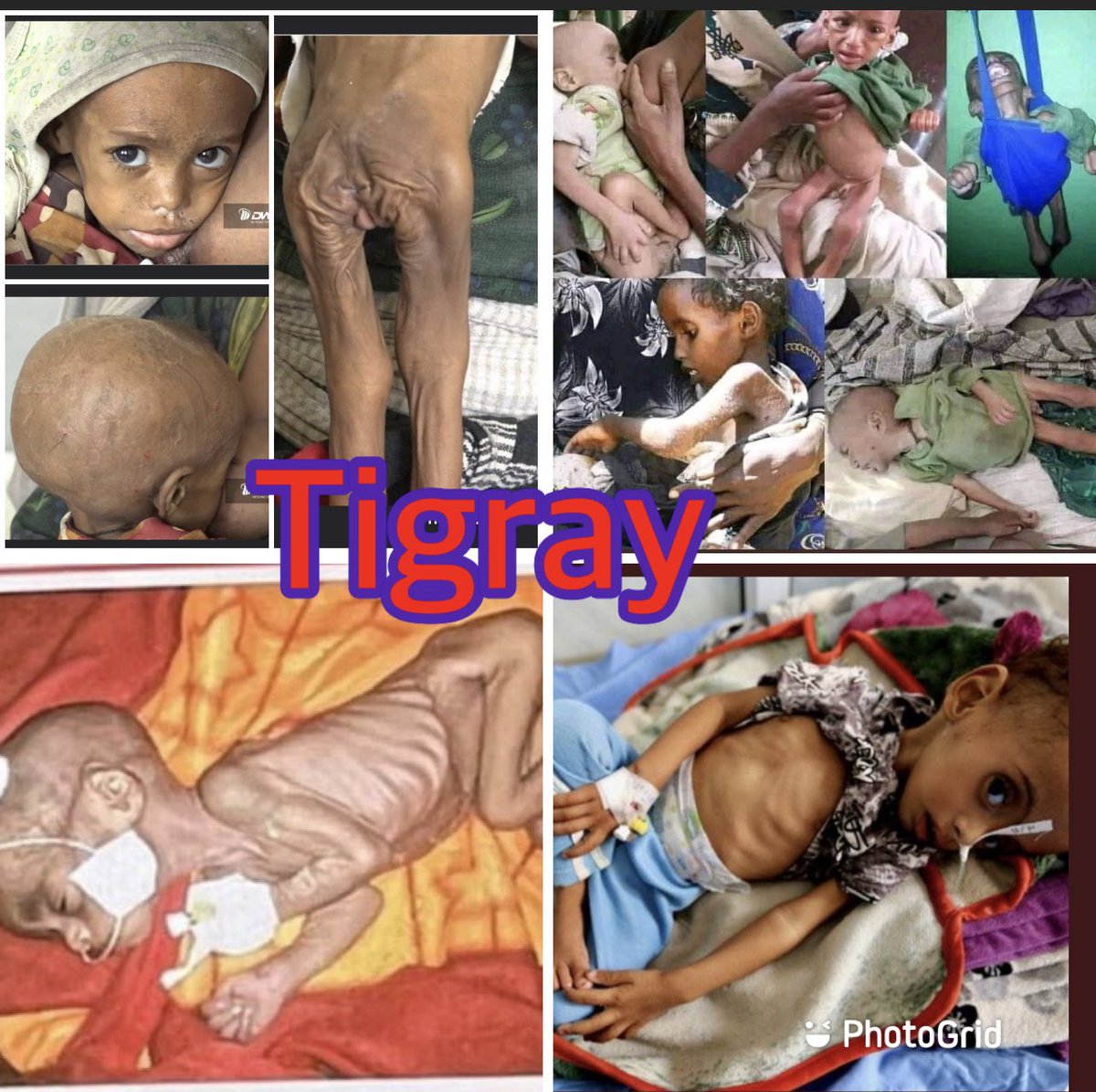 The on-going #7️⃣6️⃣5️⃣DaysOfTigrayGenocide by Roman Debotch is coming toDenver Sunday Nov13!Watch with us as the film goal is tospread awareness onthecivil war&amp; humanitarian crisisAll funds will preceed!tiphub.co #EritreaOutOfTigray  <a href="/UN/">United Nations</a> <a href="/POTUS/">President Donald J. Trump</a> <a href="/UN_HRC/">UN Human Rights Council | #HRC60</a> <a href="/UN_Women/">UN Women</a> @Cree