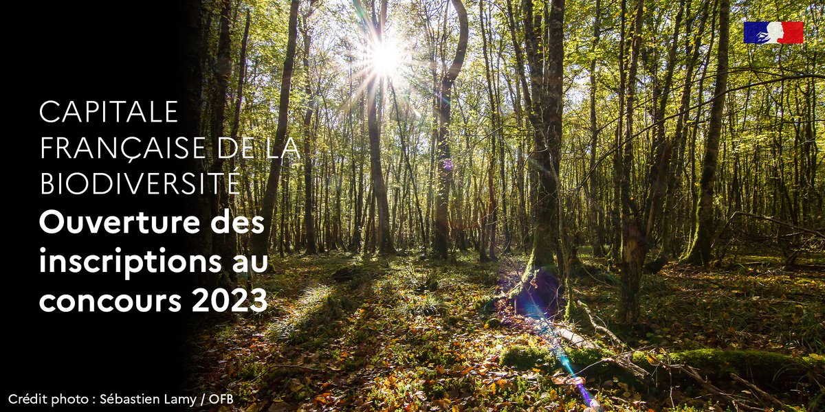 OFBiodiversite's tweet photo. ✍️ Ouverture des inscriptions au concours @Capitale_Biodiv 2023

🗓️ Jusqu'au 31 janvier 2023
🌳 Thème de cette édition : "Arbres &amp; forêts" 🌲

💚 Votre commune va-t-elle y participer ?

👉 + d'infos : https://t.co/nXqCuHFc8Y

#MaBiodiversité https://t.co/k9rqVOHdtn
