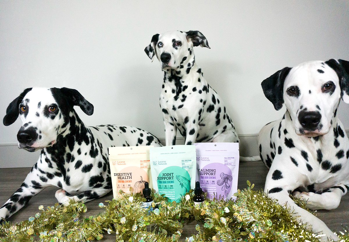 lazarusnaturals's tweet photo. This holiday season, don't leave out any family members when it comes to gift giving. Your furry friends will thank you! ๐ถ๐
.
.
#lazarusnaturalscbd #cbddogs #cbddogchewsa #cbdgifts #cbdholidays #bcorp #cbdpets #cbdforpets https://t.co/RnTmcM3Egl