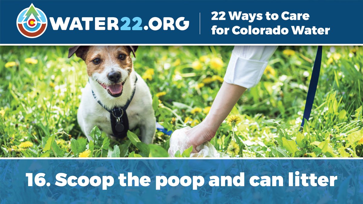 WaterEdCO's tweet image. It's Day 16 of our December Holiday Count-Up of the 22 Ways to Care for Colorado Water in 2022! 

Scoop the poop and can litter. Pick up after your pet and keep trash out of waterways.

#water22 #watertips #coloradowater #ScoopPoop