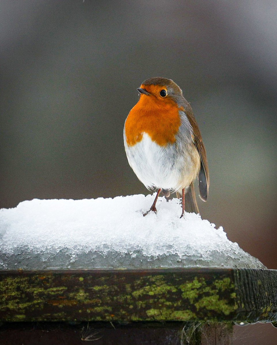 Brendan Waters Photography tweet media