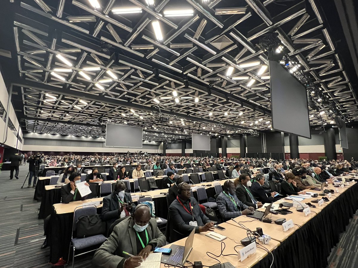 ladislav_miko's tweet photo. CBD COP15 teď: vrtule se točí na plné obrátky. Desítky paralelních jednání na technické i ministerské úrovni, zárodky možných řešení rozporů, směsice nadějí, očekávání a frustrací - a neustálá potřeba (a odpovědnost) to vše propojovat v co nejvíc smysluplný celek. #CZPresENVteam https://t.co/wdZDj1ssZo