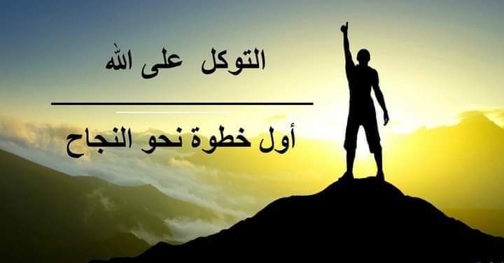 #تثبيت_عقود_التعليم