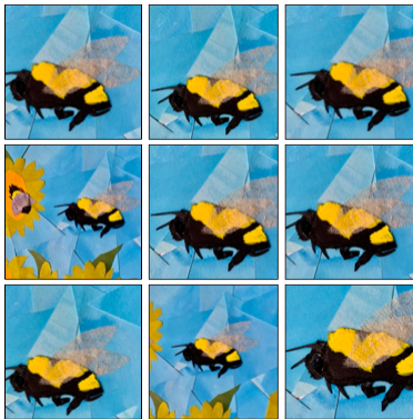 Belladonna* Series tweet media