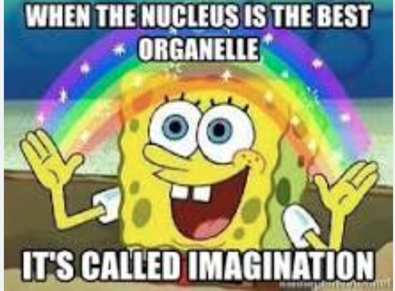 Powerhouse__1's tweet photo. @The_Nucleus_23 https://t.co/SThPk4LUKx