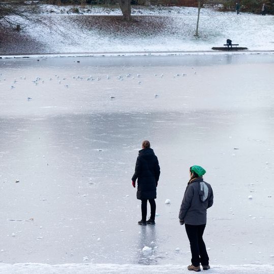 Liverpool Echo tweet media