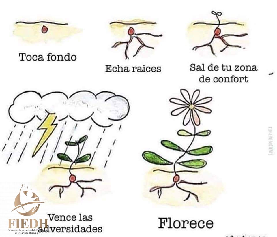 acfiedh's tweet image. Florece 🌻🌴
.
.
.
.
.
#florece