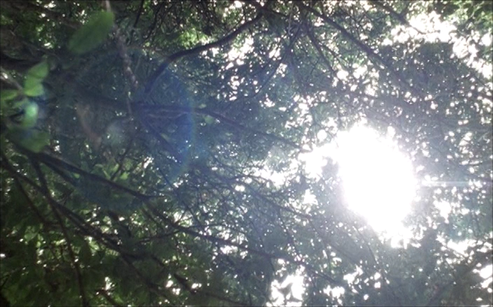dezakieffect's tweet photo. Blissfully Yours (2002) dir. Apichatpong Weerasethakul https://t.co/yvyFtbsYXH