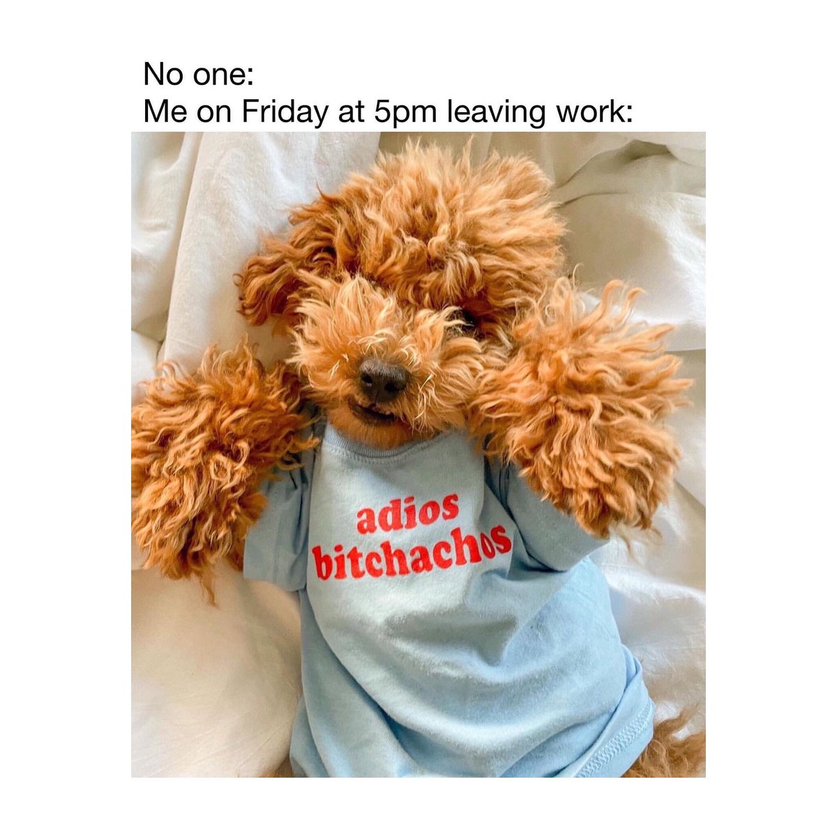 PetWinery tweet media