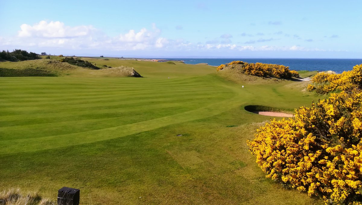 caddiegolftours's tweet photo. Returning Castleton golfers next July @Crudenbaygolf @MurcarLinksGolf @royalaberdeen @carnoustiegolf @KingsbarnsGL #newcourse #castlecourse #jubileecourse and #OldCourse via local Ballot...Fore!
#golfscotland #golftour2023 #golfstandrews https://t.co/A1XTesrYo4