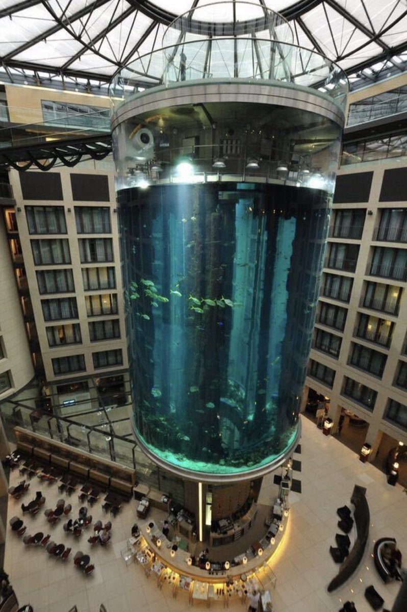 PonchoMunoz's tweet photo. 🔴 #ULTIMAHORA
Una ruptura en el acuario cilíndrico más grande del mundo dentro del hotel #Radison en #Berlín provocó la pérdida de un cuarto de millón de galones de agua de mar y además dejó 1,500 peces tropicales muertos 🐠🎏🐠🎏🐠🎏🐡🐠 https://t.co/yj6HZFoGUF