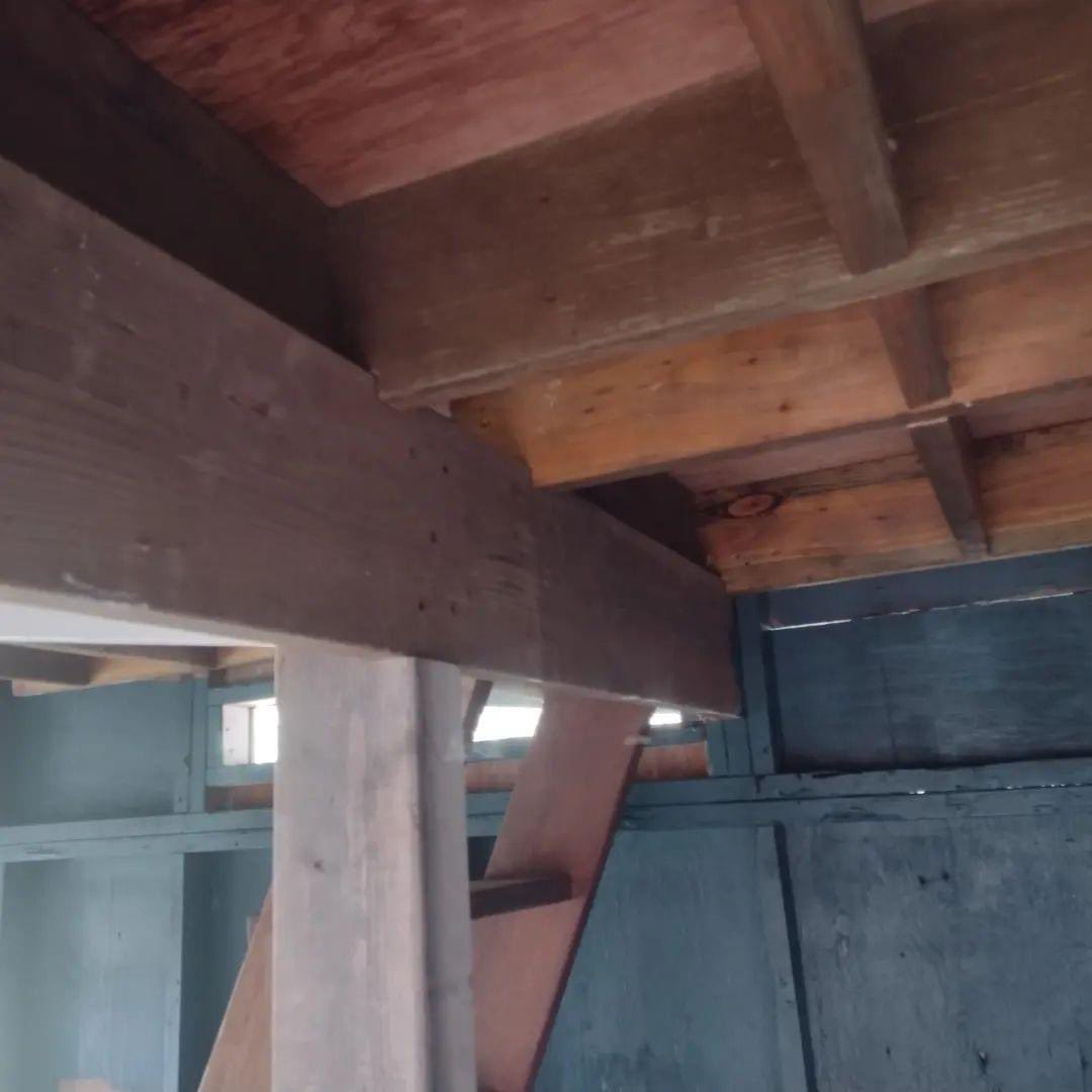 9thWAVeOffGrid's tweet photo. #CodyDarcyDesign
#Offgridcabin
#remodel
#framing
#9thWAVeOffGrid
#9thWAVe
#CoherenceHotspotHawaii
#Sustainability
#Upcycling
#DIY
#Maui
#Hawaii https://t.co/YHs3ueRImP