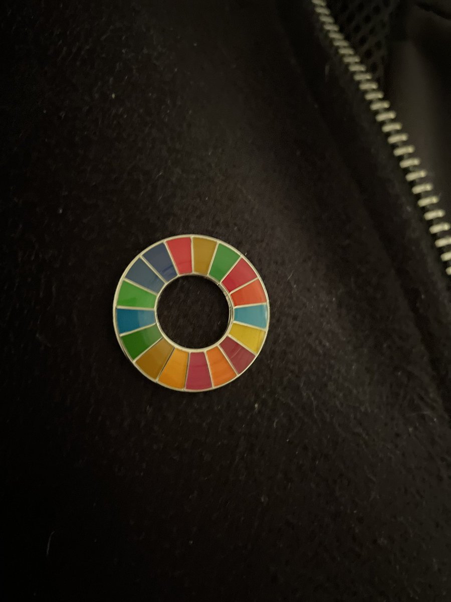 KnibestolTone's tweet image. Har den här snygga nålen på min jacka. FN:s 17 hållbarhetsmål. Såg nu att den är ett hemligt tecken att hålla utkik efter enligt anhängare av konspirationsteorin The Great Reset. 😁