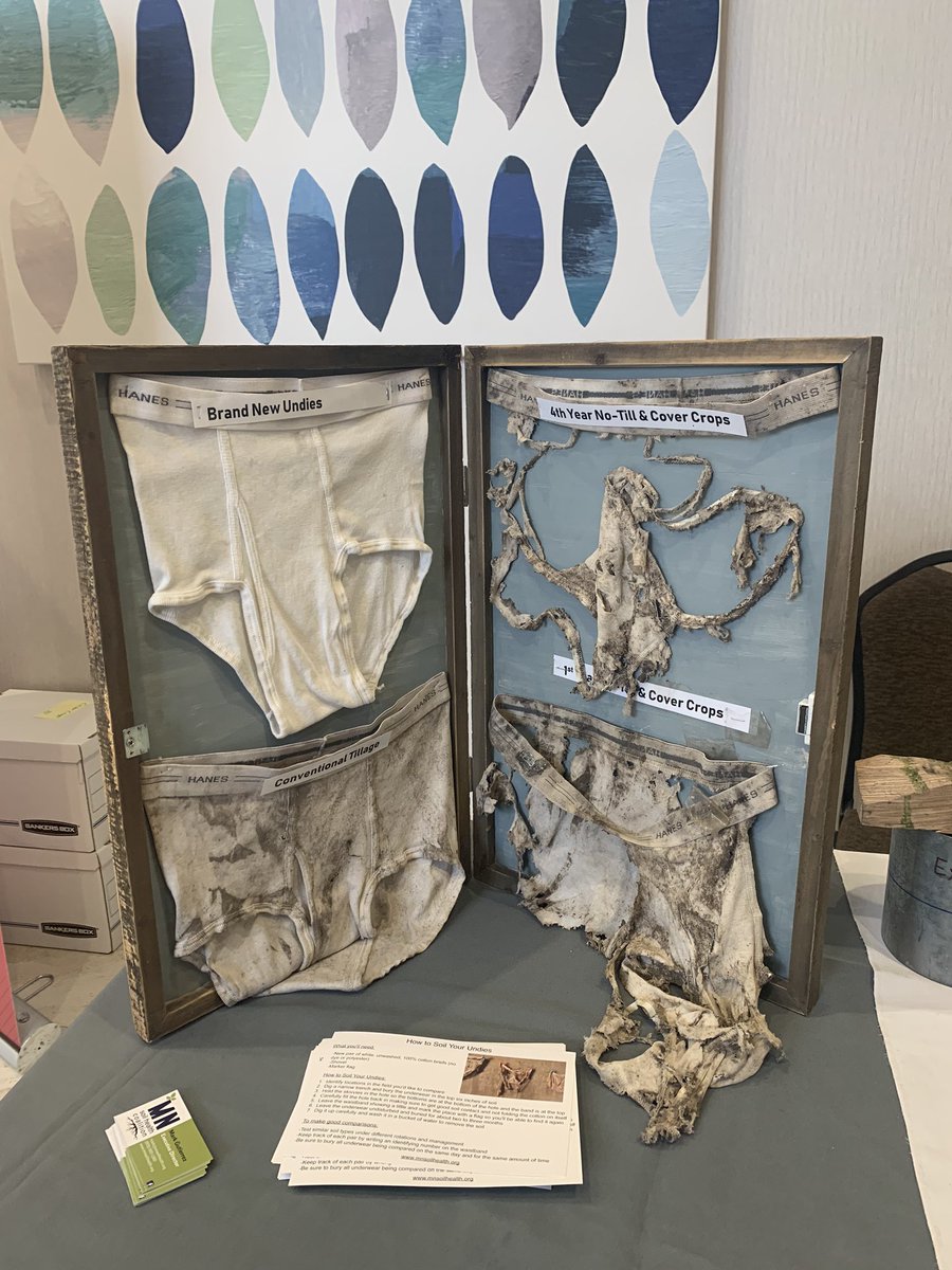 AK35hatesbirds's tweet image. Always down for a weed ID quiz and expanding my knowledge on soil conservation. Thank you @MnSoil and @UMNExt for putting on such a great event! #SMS2022