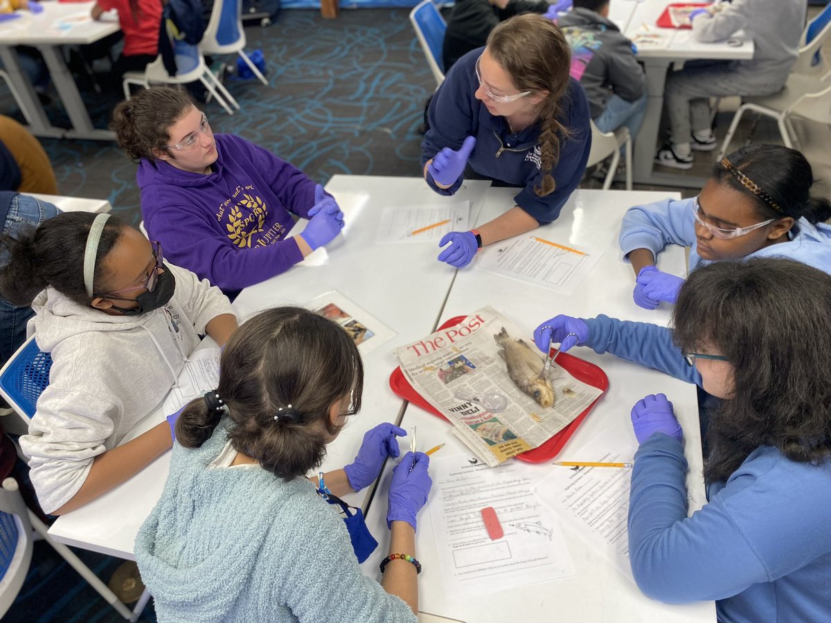 mrsdangelo_ICS's tweet photo. Learning the digestive, respiratory, and circulatory systems of Perch π @MaritimeAqua Norwalk Aquarium #fishdissection @icschool_online @ArchNY_Schools https://t.co/en9JOG4maq