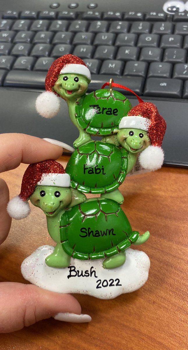 MatturroMEd's tweet photo. My Secret Santa was on point all week, but this has go to be my fave🎁 !!! Turtles & personalized!! 🐢💚#BetterTogether #BushAdmin @TeraeHarris https://t.co/6G3eHAckXr