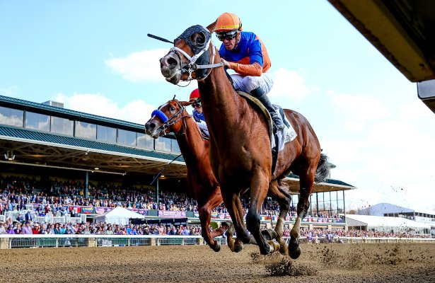 HR_Nation's tweet photo. Cox, Asmussen runners square off in early #KentuckyDerby prep: The #SpringboardMile @RemingtonPark. https://t.co/AM5gD2ExBO
📸 : Evers / Eclipse Sportswire https://t.co/qOUKRJyfvc