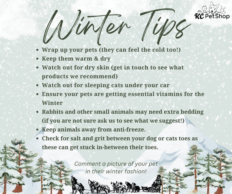 KCPetShopUK's tweet photo. Are your pets ready for winter? 🐶🐱🐰
Check out some important tips and must knows on how to keep your pet safe over these cold winter months...❄️☃️
Comment your tips and photos of how you're keeping your animals warm &amp; safe! #winter #dog #cat #rabbit #animalsafety #pet https://t.co/T1SpZwGjtU