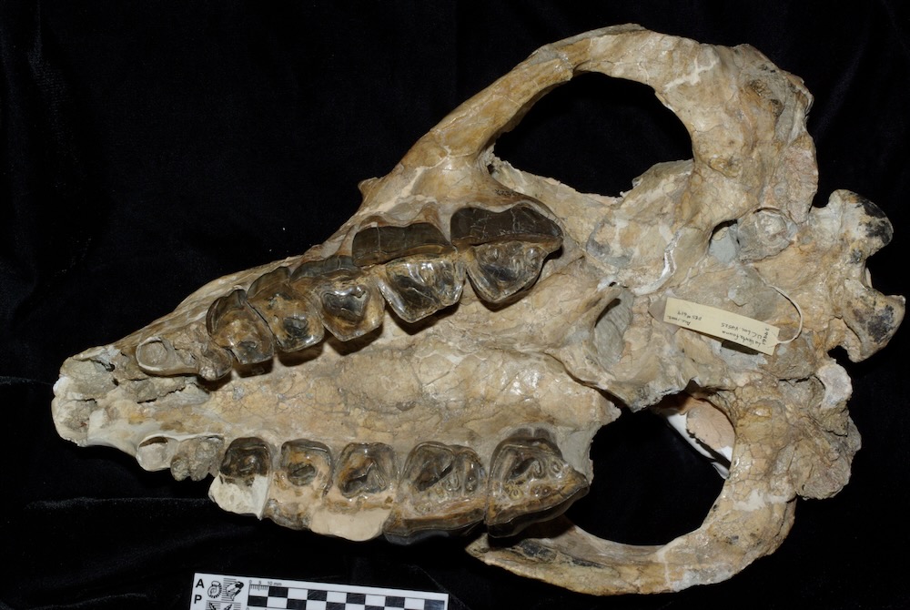 Darin Croft tweet media