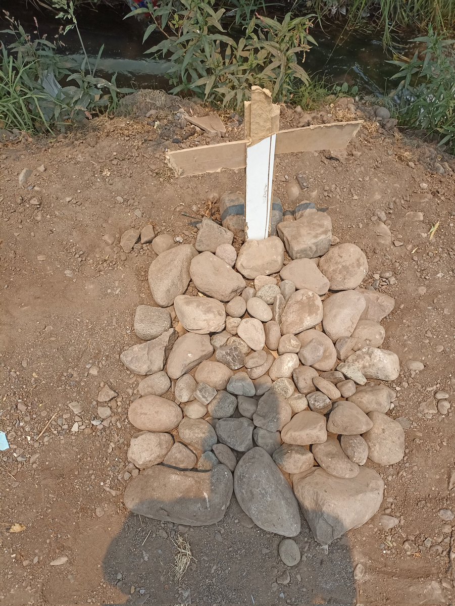 Actualización,ya está mejor. 

La enterré,cómo de costumbre solo.