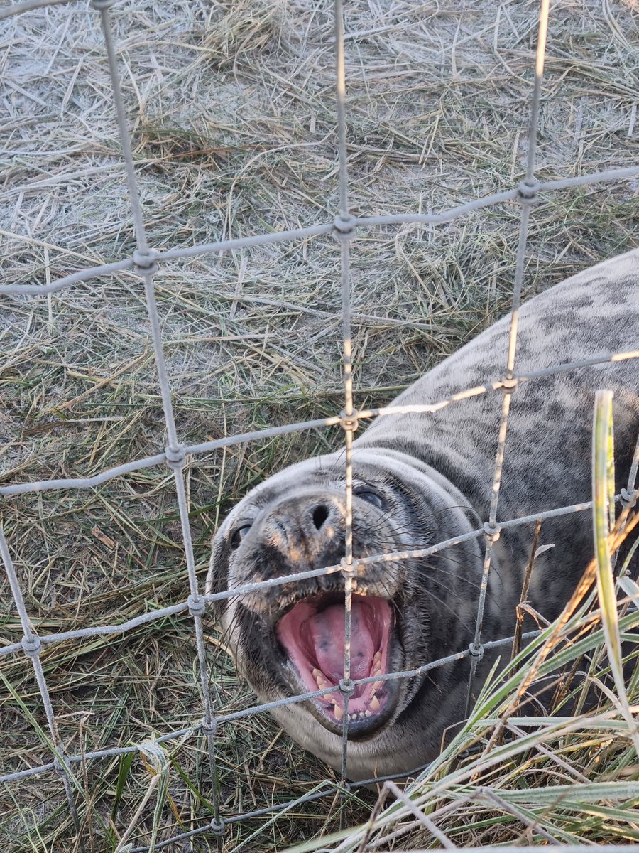 Alastair H-R | Tracker Al tweet media