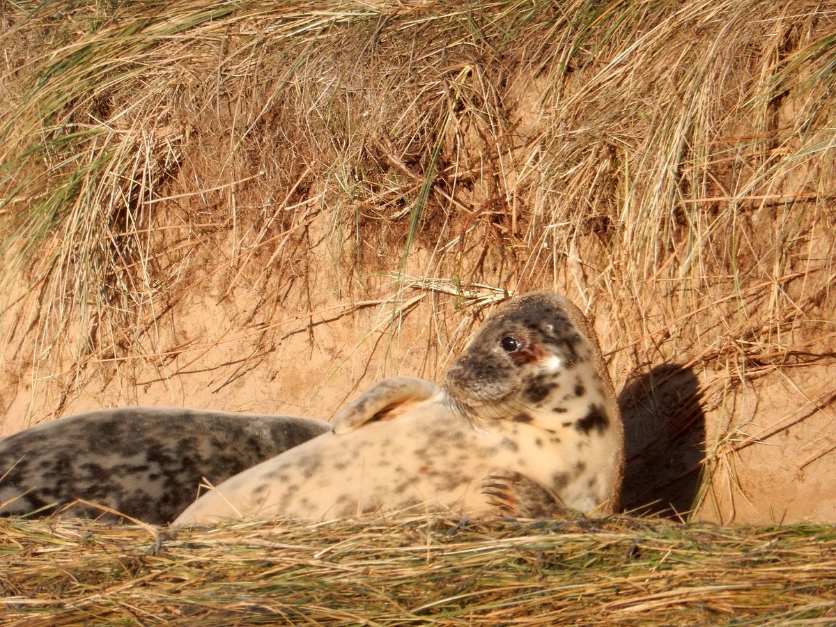 Alastair H-R | Tracker Al tweet media